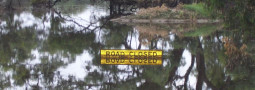 Loddon Shire Council: Road Infrastructure Flood Program